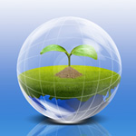Eco Solution